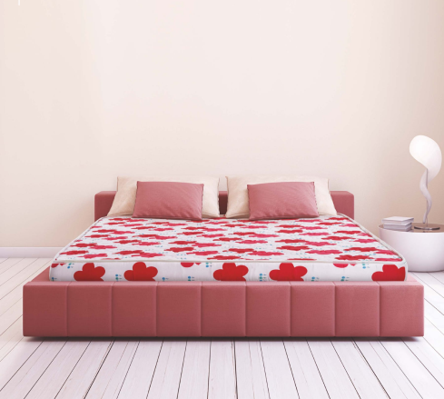 Sri Kaveri Bed and Matress